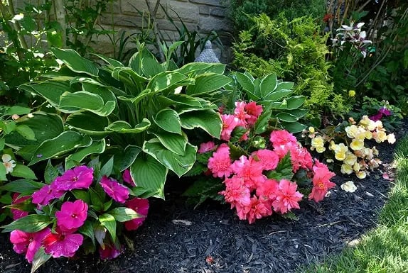 Landscape-Construction-1