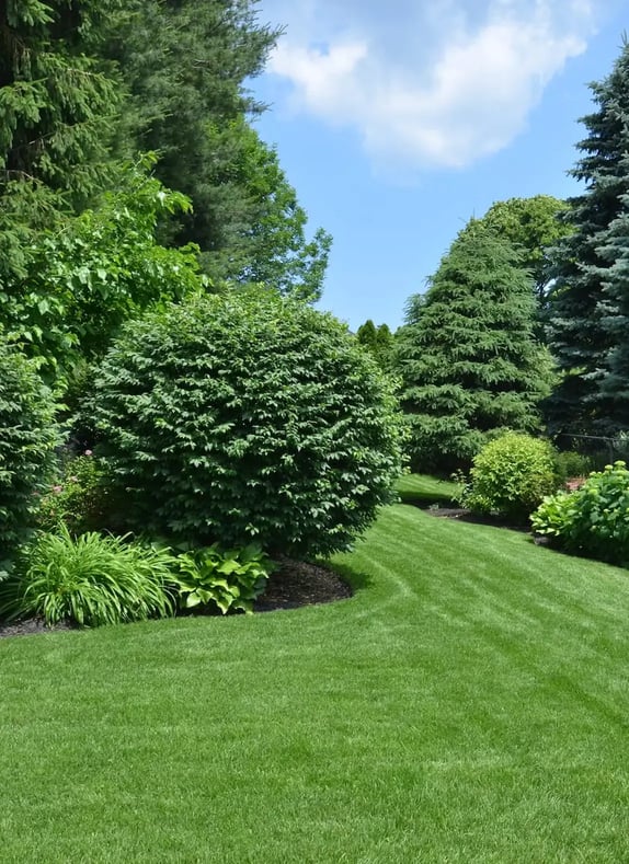 Landscape-Construction-5