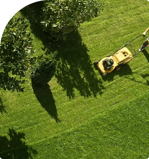 Caring-for-Your-Lawn-Gardens-Trees