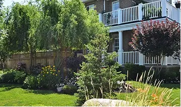 Lawn-fertilizer-programs