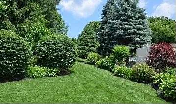 Lawn-garden-tree-care