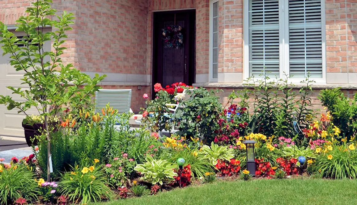 Property-Maintenance-home